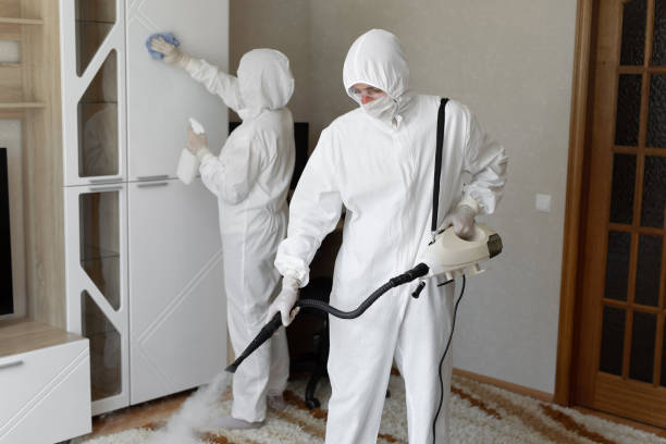 24/7 Emergency Odor Removal experts in Quincy, WA